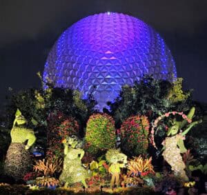 Flower & Garden 2023